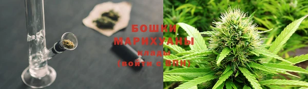 PSILOCYBIN Верхний Тагил